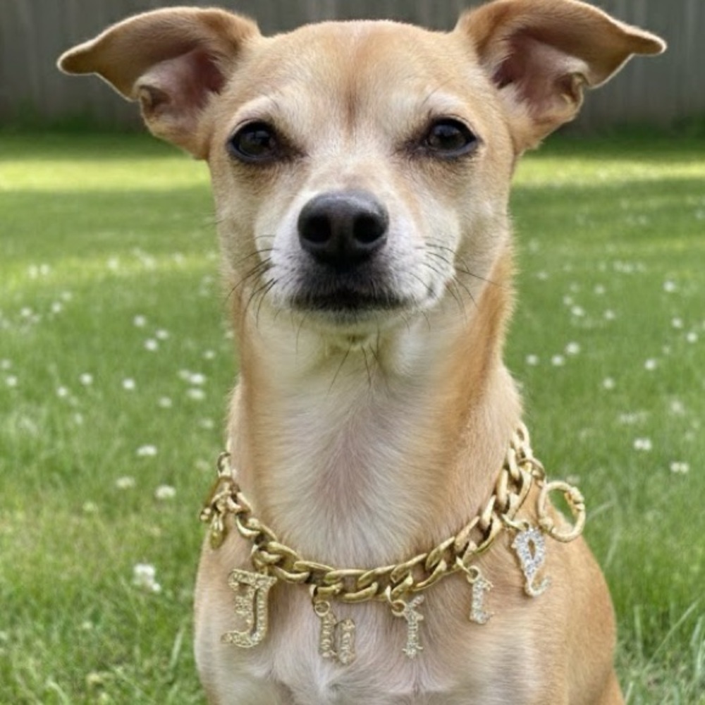 Y2K JUICY COUTURE GOTHIC INITIAL CHARM BRACELET DOG COLLAR SWAROVSKI CRYSTALS